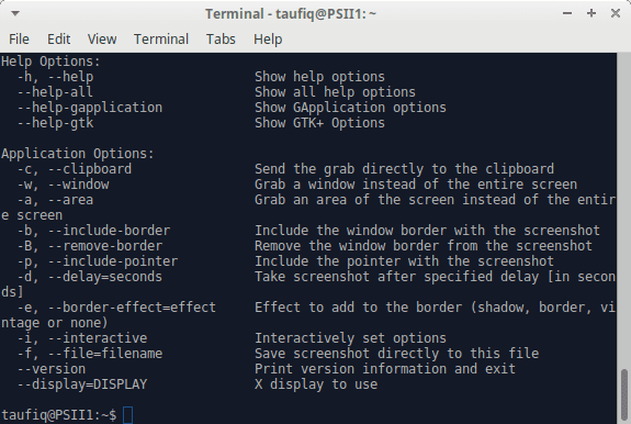 Mengambil Screenshot Pada Linux (Ubuntu) OS dengan terminal