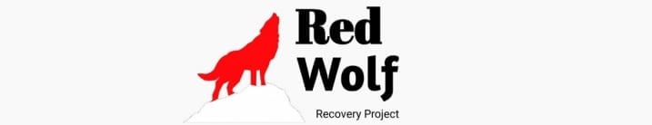 Cara Pasang TWRP RedWolf Redmi 3 / 3 Pro