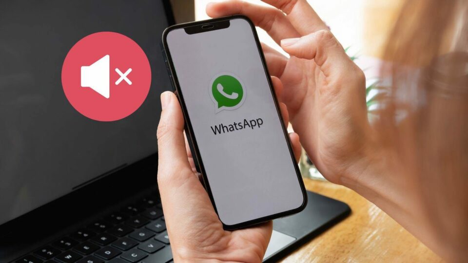 Jenis-Notifikasi-Telepon-di-Aplikasi-WhatsApp