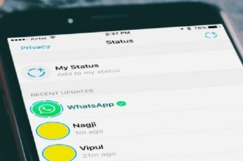 Aplikasi-Download-Story-WhatsApp cara download status WA di iPhone